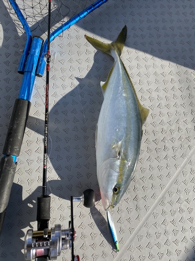 ミタチ丸 釣果