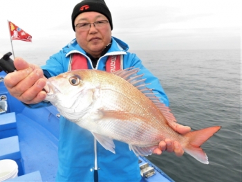 鯛紅丸 釣果