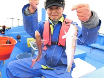 鯛紅丸 釣果