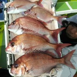 横内丸 釣果