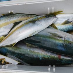 海龍丸（福岡） 釣果