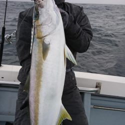 海龍丸（福岡） 釣果