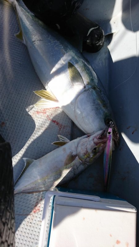 海龍丸（福岡） 釣果