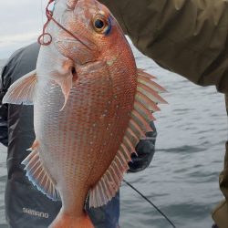 珀宝丸 釣果