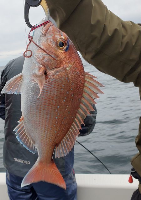 珀宝丸 釣果