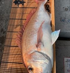 幸吉丸 釣果