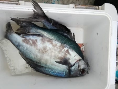 松福丸 釣果