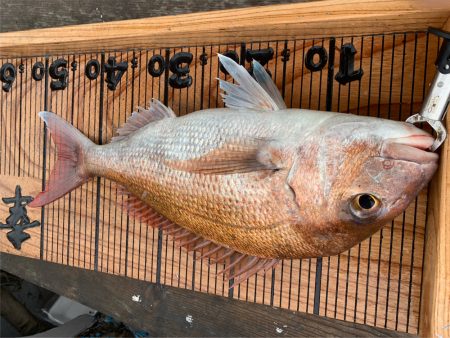 幸吉丸 釣果