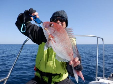 開進丸 釣果