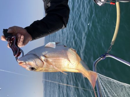 白墨丸 釣果