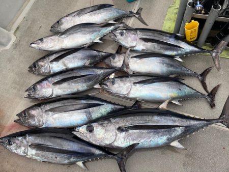 へいみつ丸 釣果