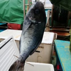 松福丸 釣果