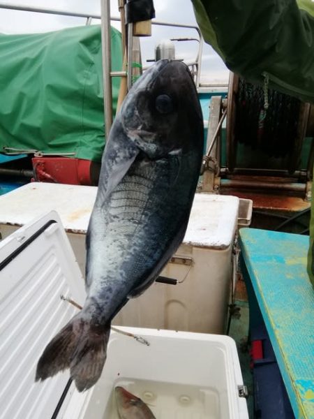 松福丸 釣果