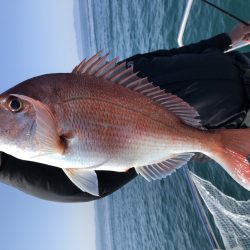 白墨丸 釣果