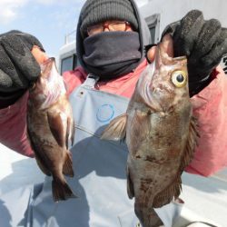 まとばや 釣果