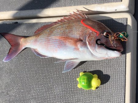 白墨丸 釣果