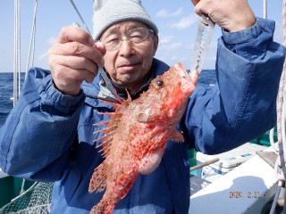 増福丸 釣果