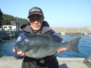 春日丸 釣果