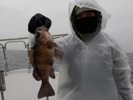 ＨＡＲＵＫＡ丸　はるかまる 釣果