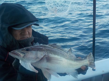 舵丸 釣果