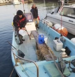 えすぽあ 釣果