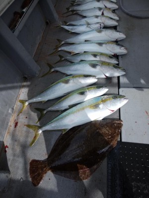 関勝丸 釣果