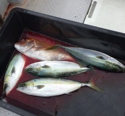 えすぽあ 釣果