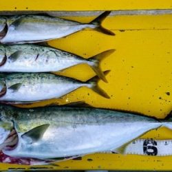 火遠理丸（ほおりまる） 釣果