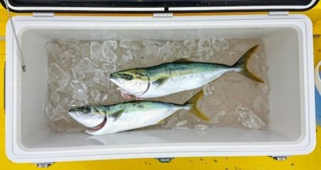 火遠理丸（ほおりまる） 釣果