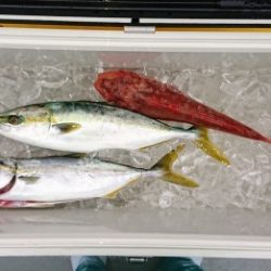 火遠理丸（ほおりまる） 釣果