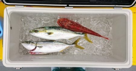 火遠理丸（ほおりまる） 釣果