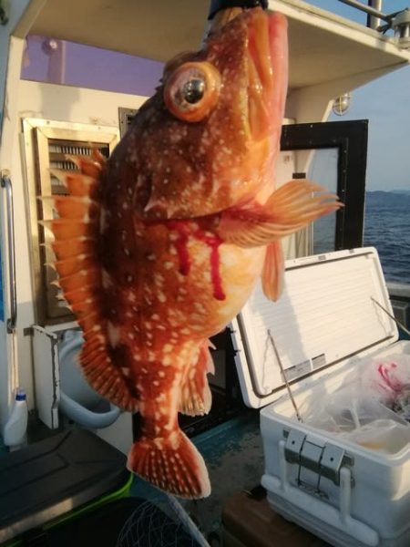 松福丸 釣果