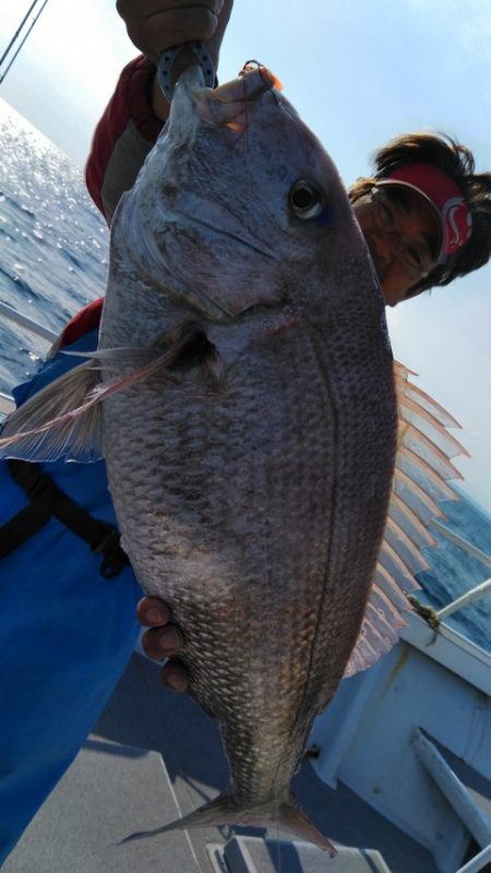 遊漁船 新鋭丸 釣果