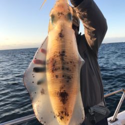 まると屋 釣果