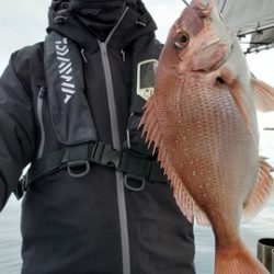 遊漁船　ニライカナイ 釣果