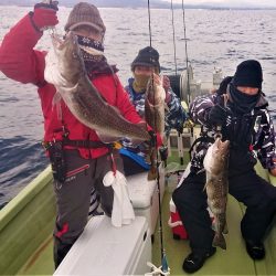 気仙沼　つり丸 釣果