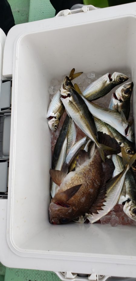 海龍丸（石川） 釣果