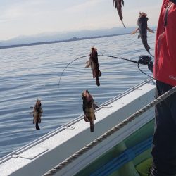 海龍丸（石川） 釣果