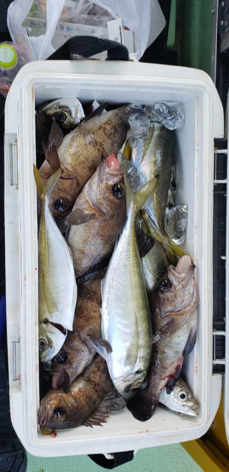 海龍丸（石川） 釣果