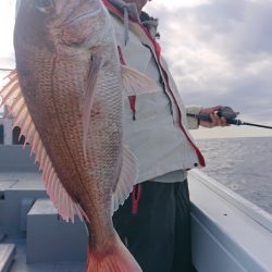 だて丸 釣果