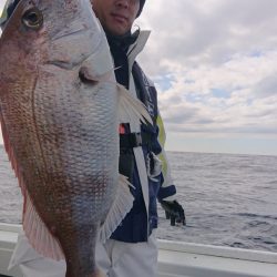 だて丸 釣果