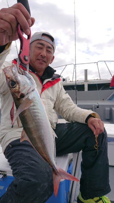 だて丸 釣果