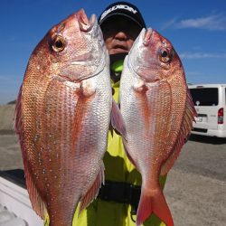 第三共栄丸 釣果