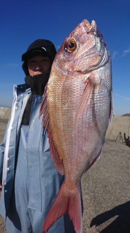 第三共栄丸 釣果