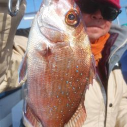 新幸丸 釣果