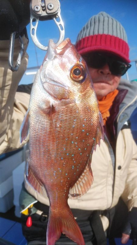 新幸丸 釣果