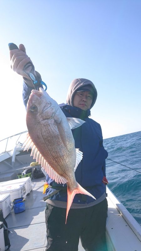 だて丸 釣果