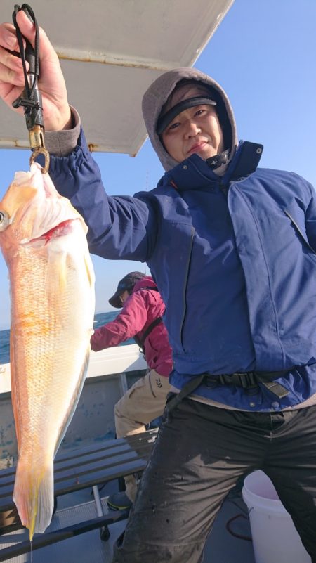 だて丸 釣果