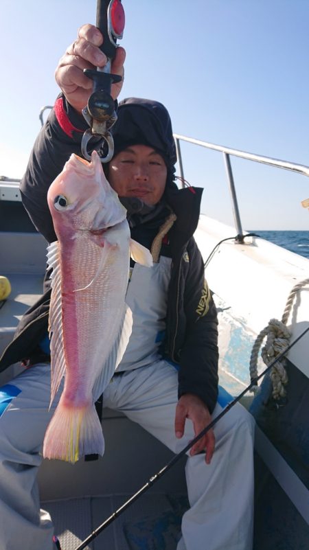 だて丸 釣果