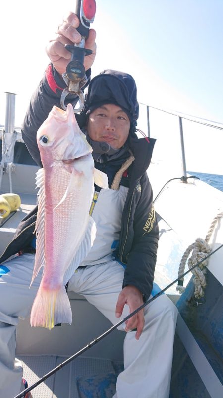 だて丸 釣果